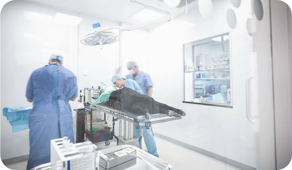 Zhangjiagang Hualing Medical Equipment Co., Ltd.